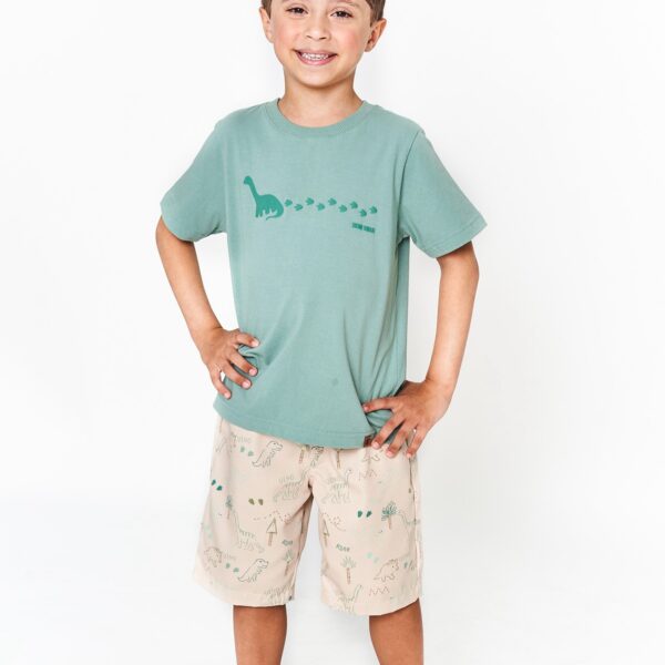 Conjunto Dino Serrado